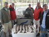 (09/12/2017) - Nice Striped Bass